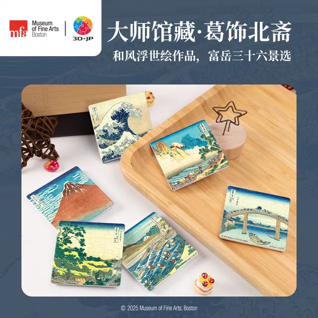3D-JP 16pcs D1572