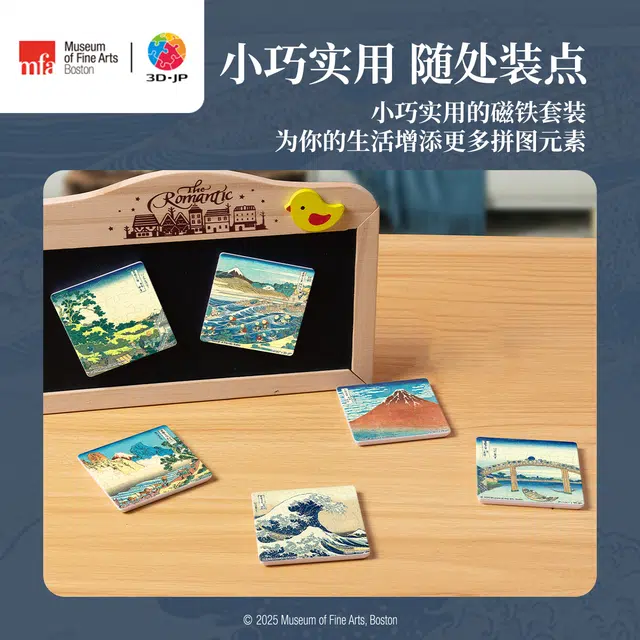 3D-JP 16pcs D1572