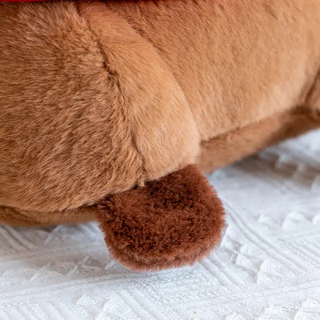 23cm