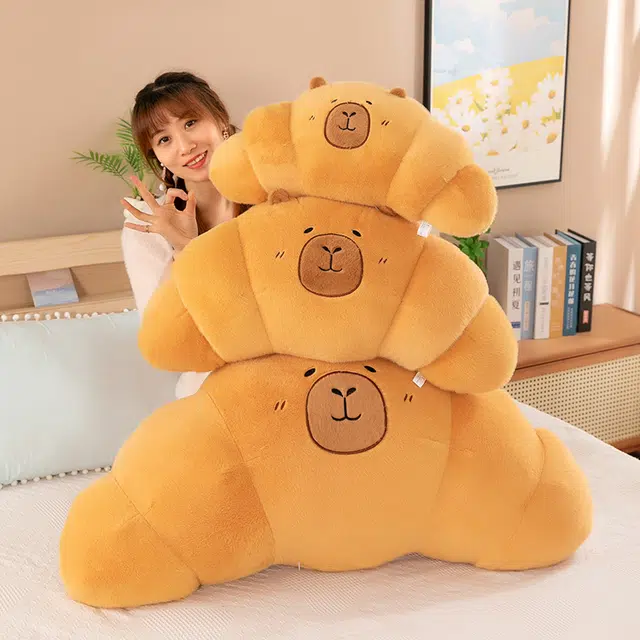 55cm70cm100cm50cm95cm