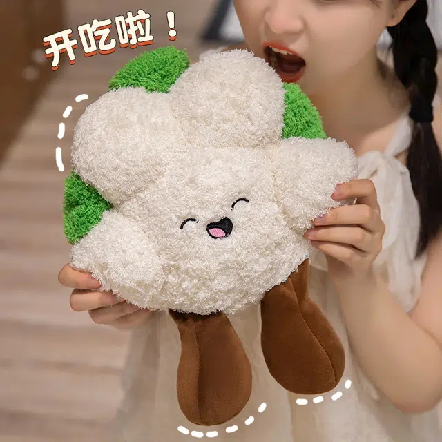 15cm30cm