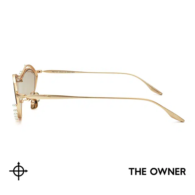 THE OWNER