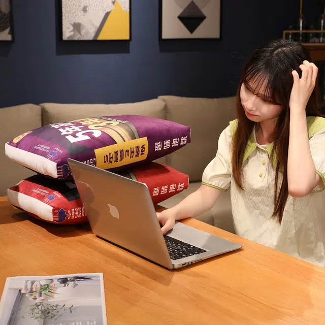 涩购 书本布娃娃 五年单身三年当狗创意柔软 玩偶周边