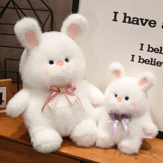 25cm40cm50cm