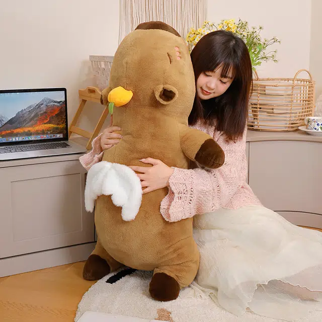 60cm80cm100cm