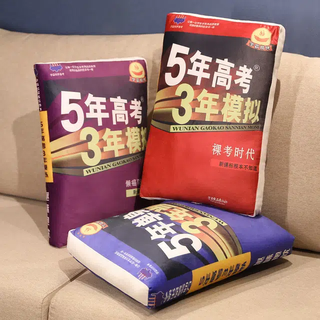 涩购 书本布娃娃 五年单身三年当狗创意柔软 玩偶周边