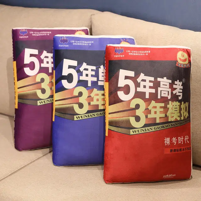 涩购 书本布娃娃 五年单身三年当狗创意柔软 玩偶周边