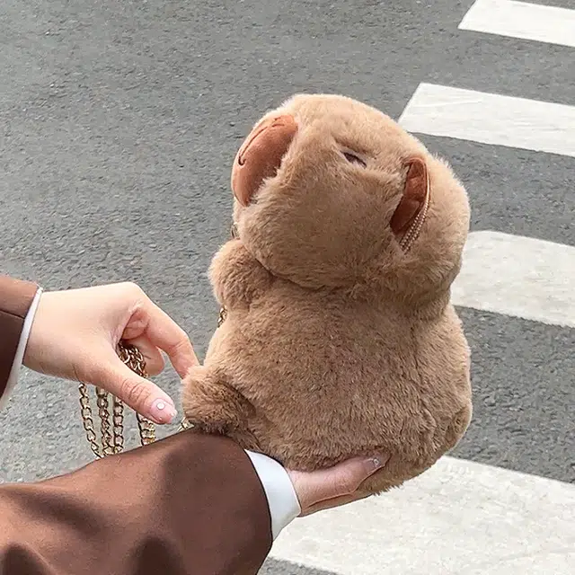 23cm