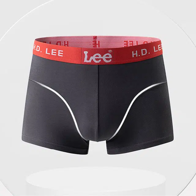 Lee 101 4