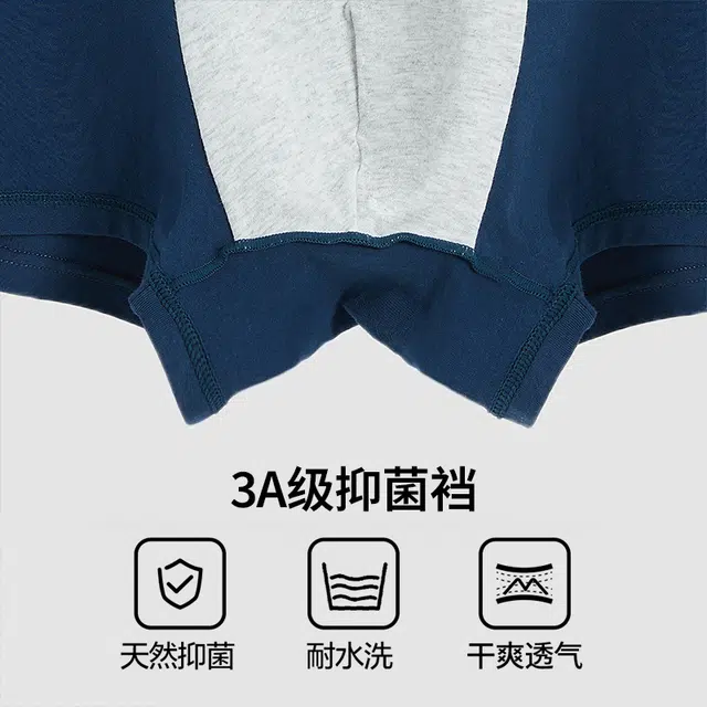 Lee 2