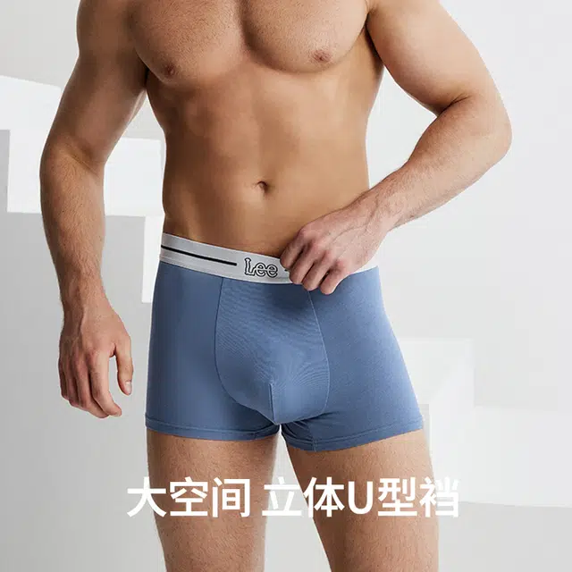 Lee 2