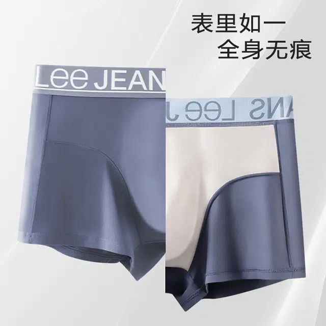 Lee 101 10A 1