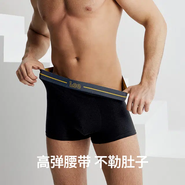 Lee 2