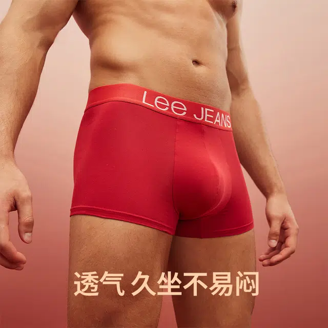 Lee 2