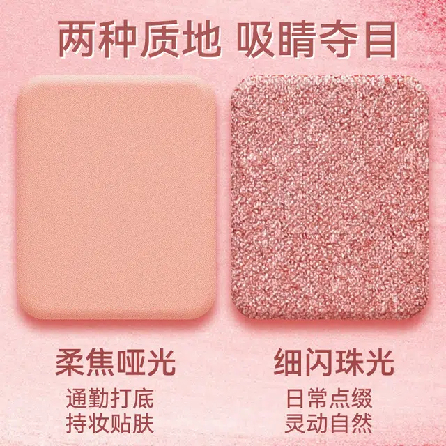 拉美拉 十色眼影盘 易上色细闪哑光珠光 一盘多用多色