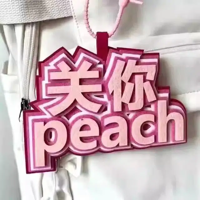 丹琴 我补药上学创意搞怪包包字牌挂饰搞笑发疯文学系列书包背包 毛毡 挂件 男女同款情侣款