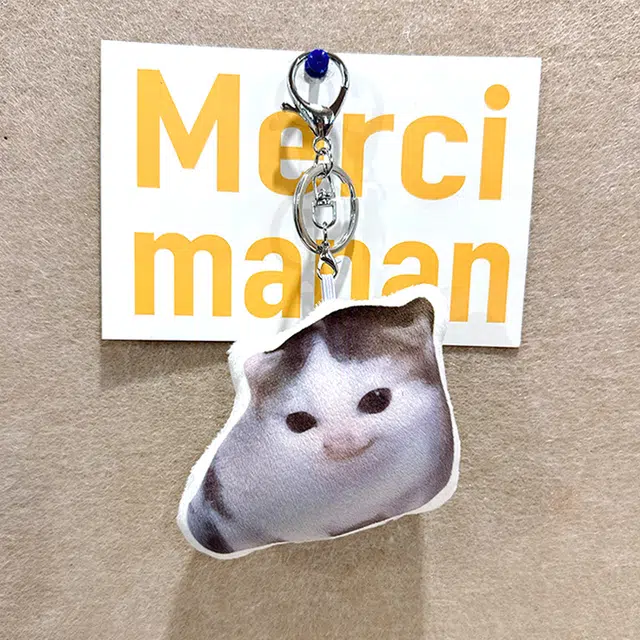 PP