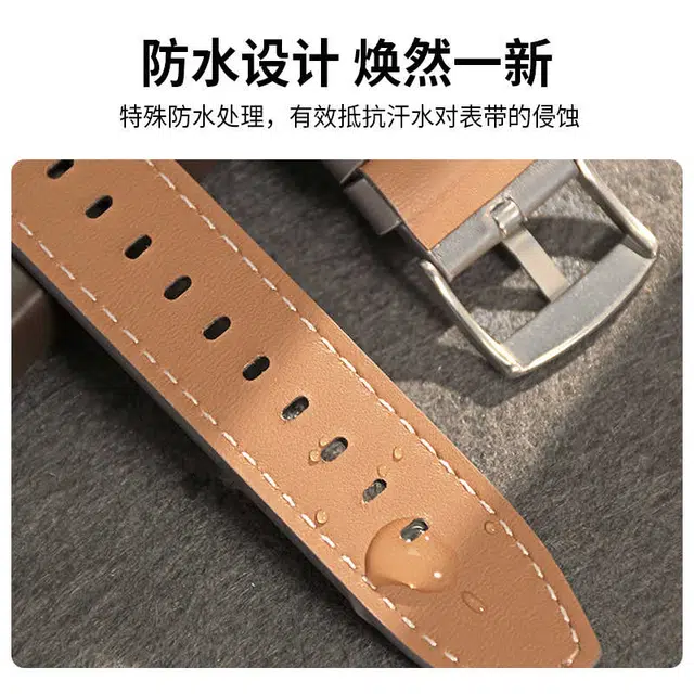 watch3GT4GT3progt2 pro