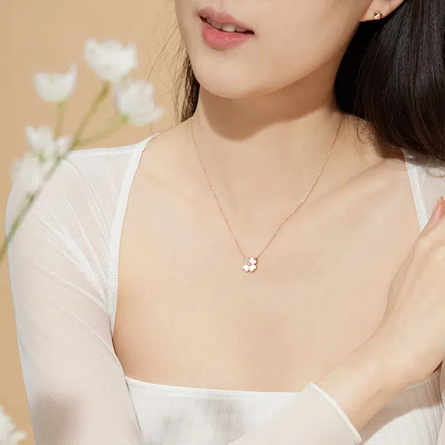 LSSW 925