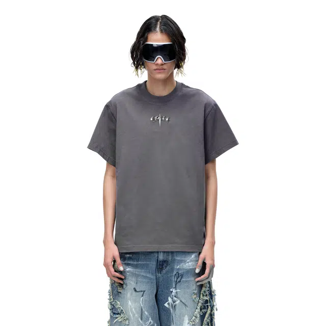 TBHNP logo T