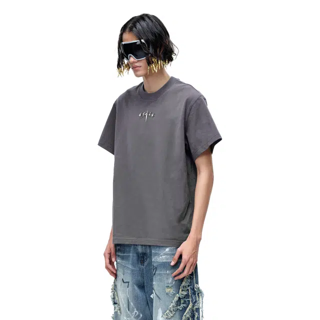 TBHNP logo T