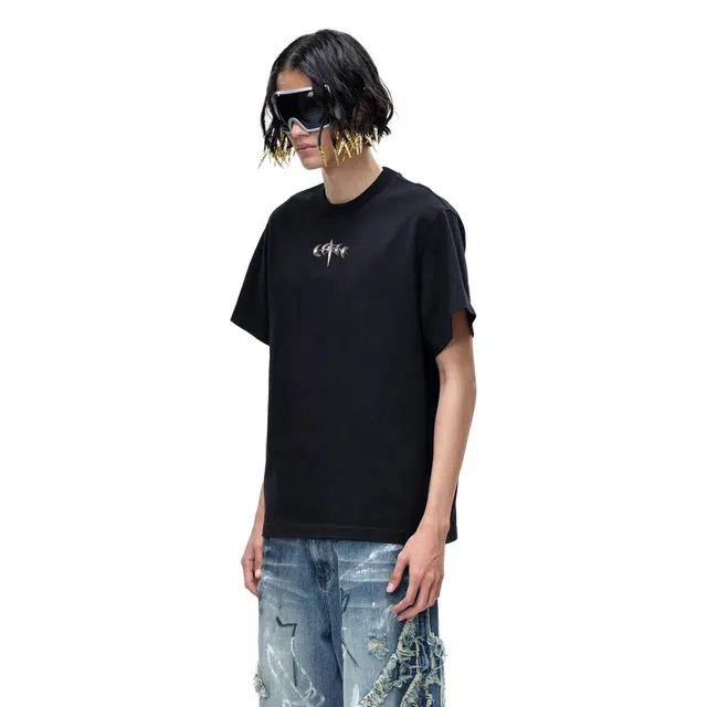 TBHNP logo T