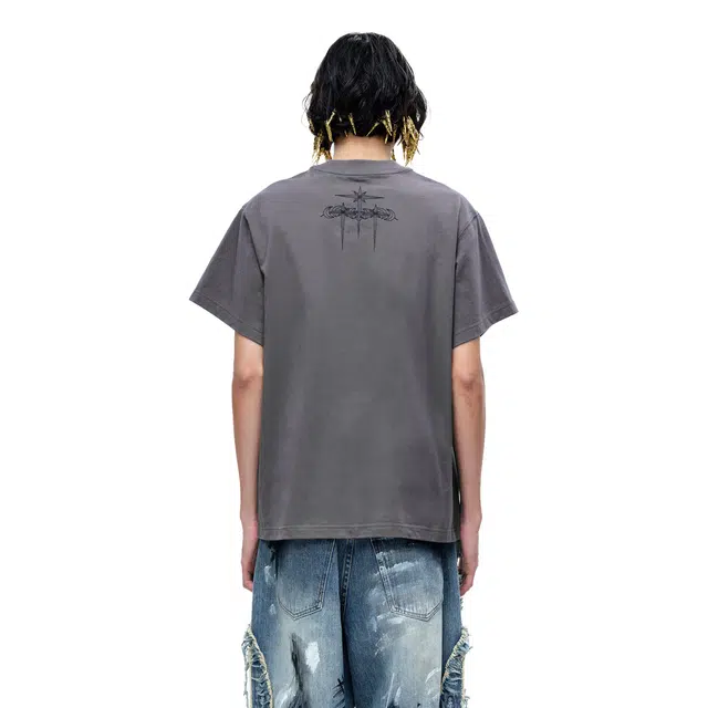 TBHNP logo T