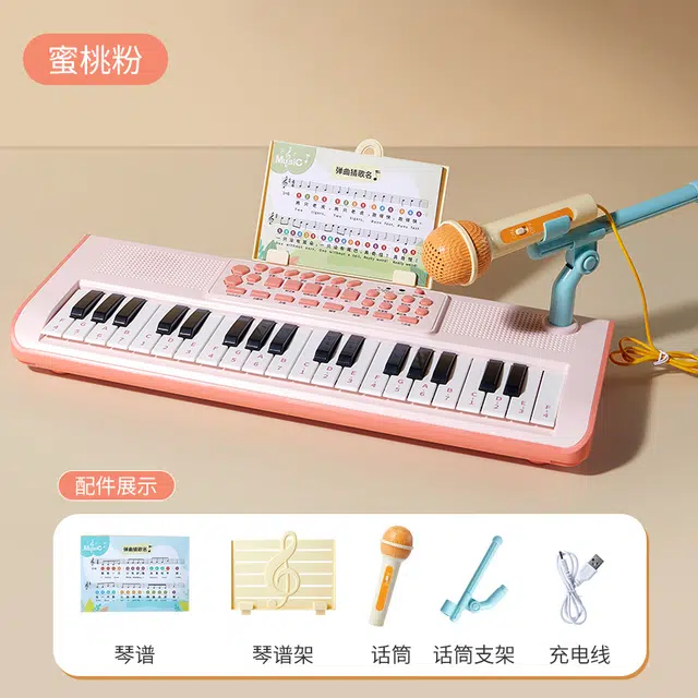 乐乐鱼 电子琴儿童乐器 初学小钢琴入门可弹奏 早教益智玩具