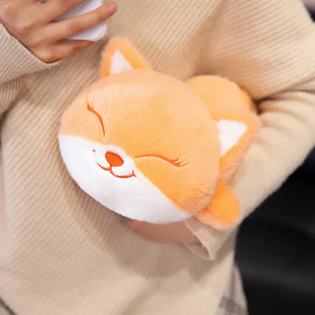 20cm
