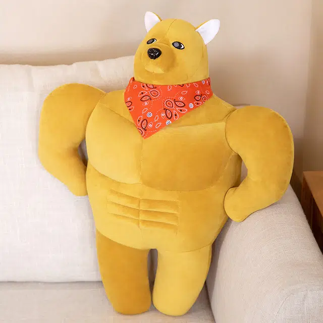 50cm70cm