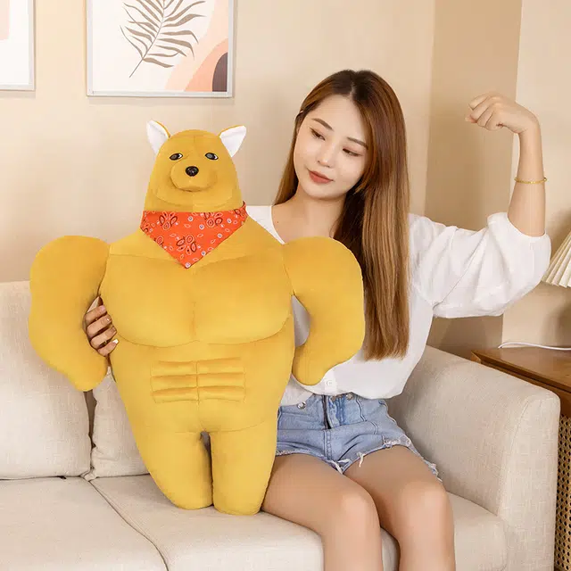 50cm70cm