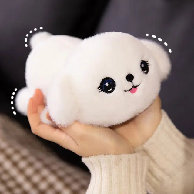 20cm
