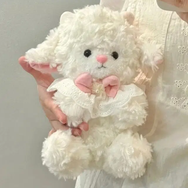 22cm32cm45cm25cm