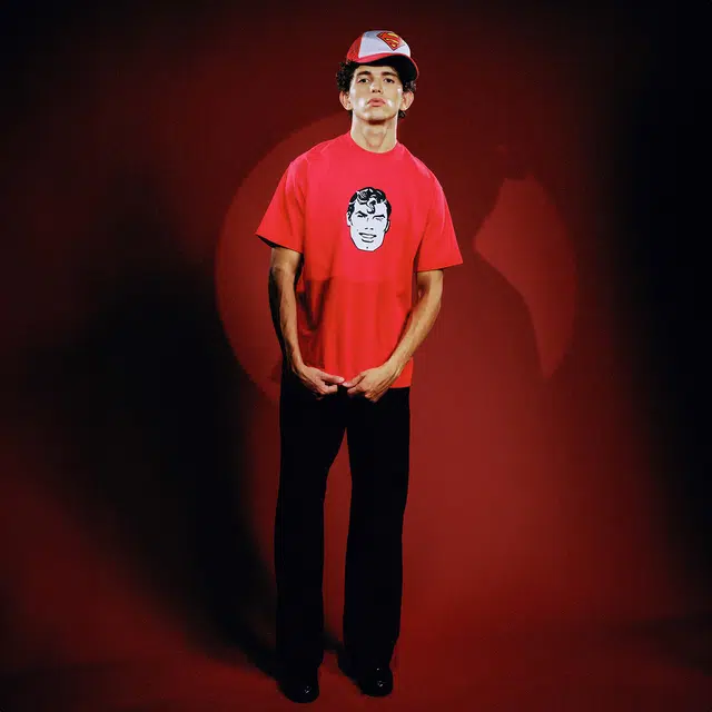 WHOOSIS SUPERMAN T