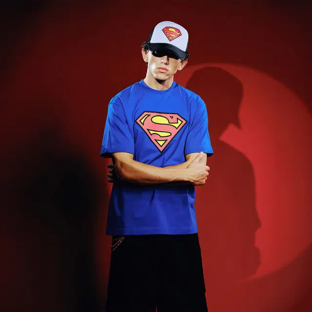 WHOOSIS SUPERMAN logoT