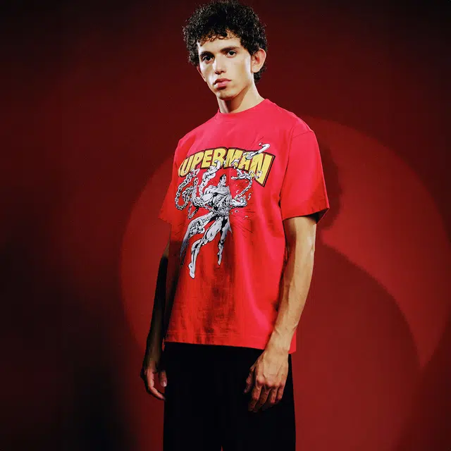 WHOOSIS SUPERMAN T