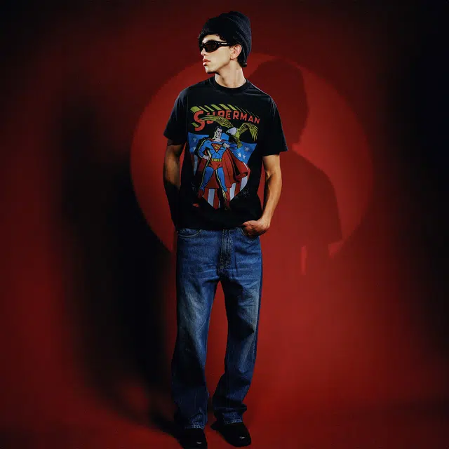 WHOOSIS SUPERMAN T