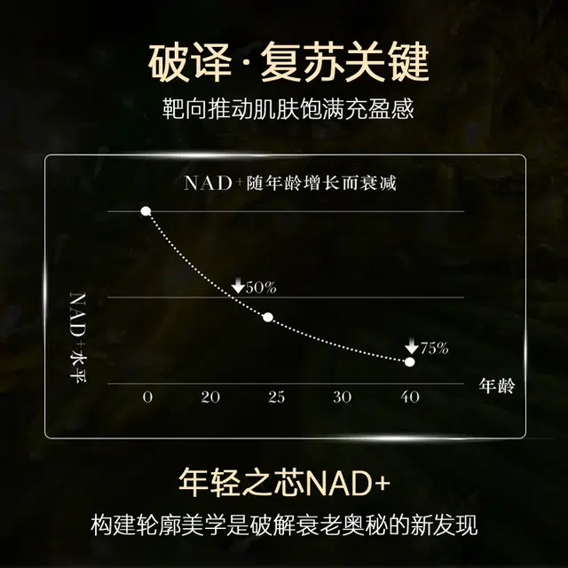 LANTERN NAD+ 30g