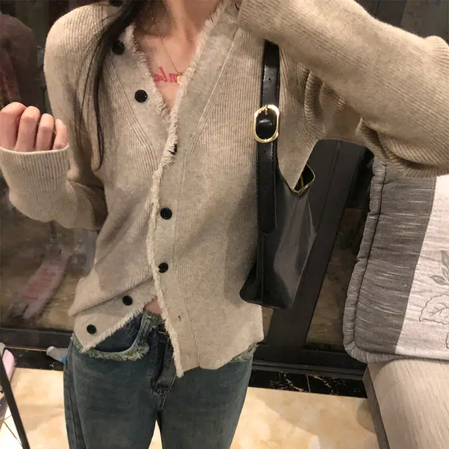 LSVE V