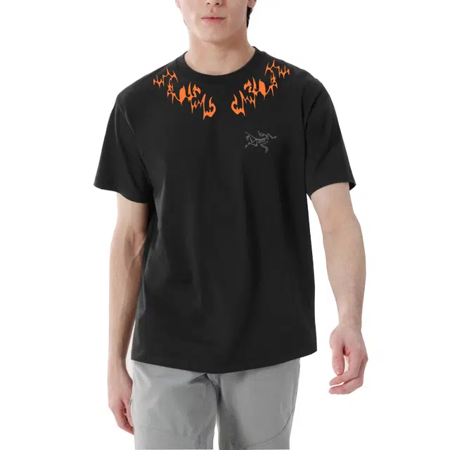 Arcteryx T