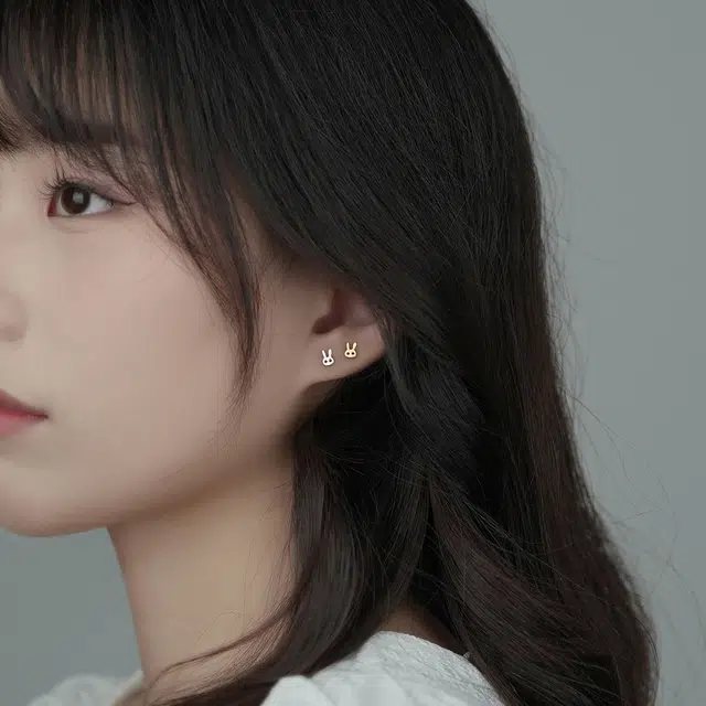 SHK S999 ins12