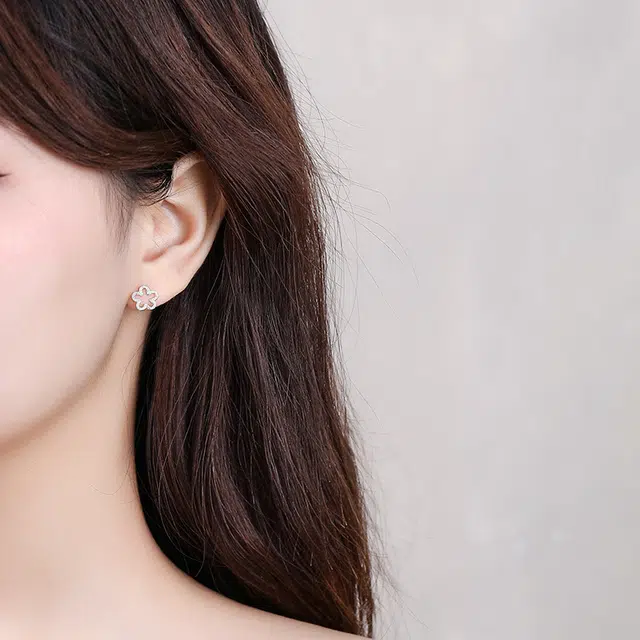 SHK S925 ins