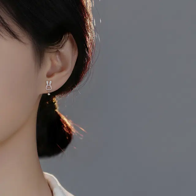 SHK S999 ins12