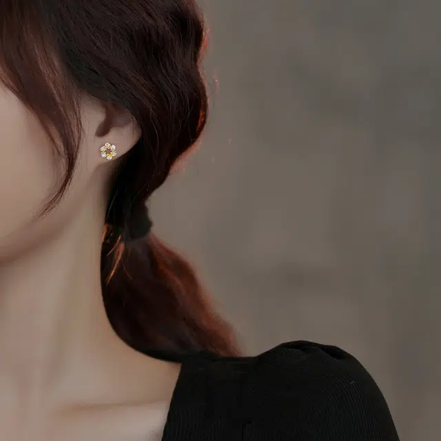 SHK S999 INS