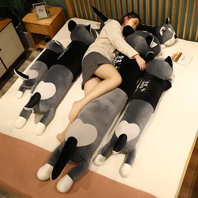 100cm120cm140cm170cm