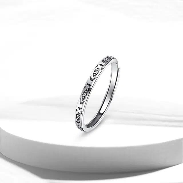 ROGA ins S925
