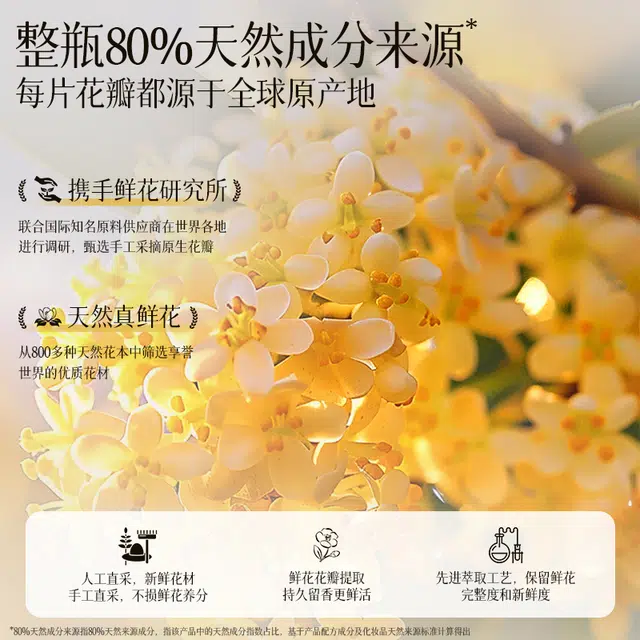 ACCEN 400g