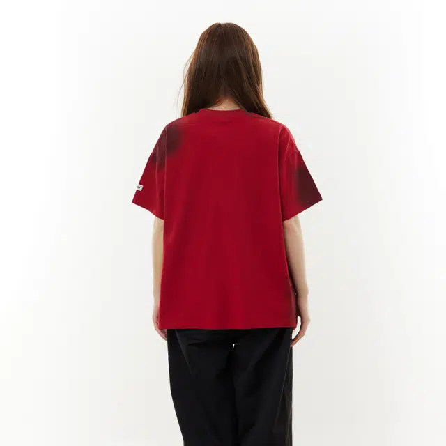 PAINT STAIN T