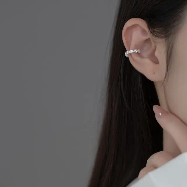 ins S925