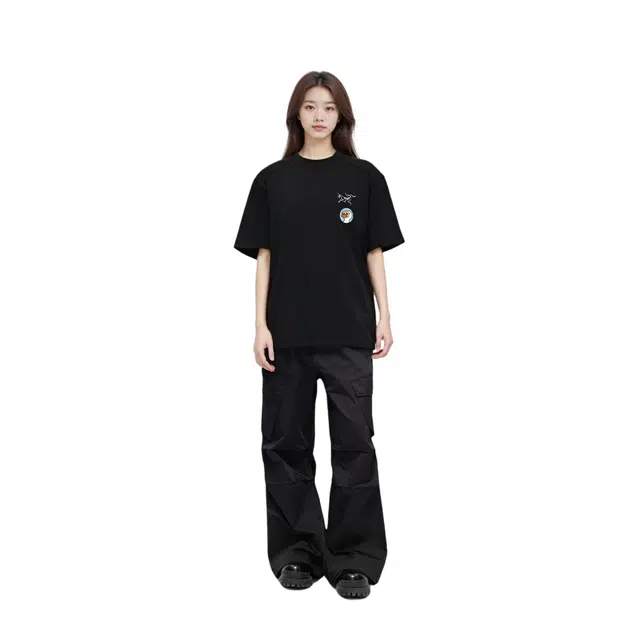 Arcteryx Extraordinary logoT